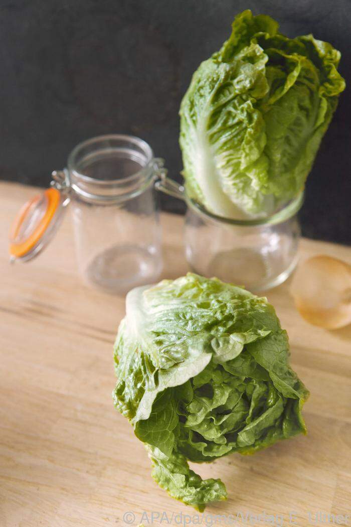 Salate eignen sich besonders gut fürs Regrowing