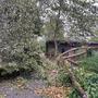 Der Sturm am Wochenende richtete auch in der Tierwelt Herberstein großen Schaden an