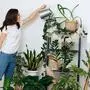 Caring for home plants. Beautiful girl in casual clothes, with watering can.