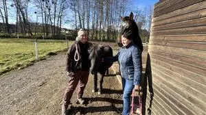 Reitpädagogik Reittherapie Reitstall Unterlungitz Dellmour