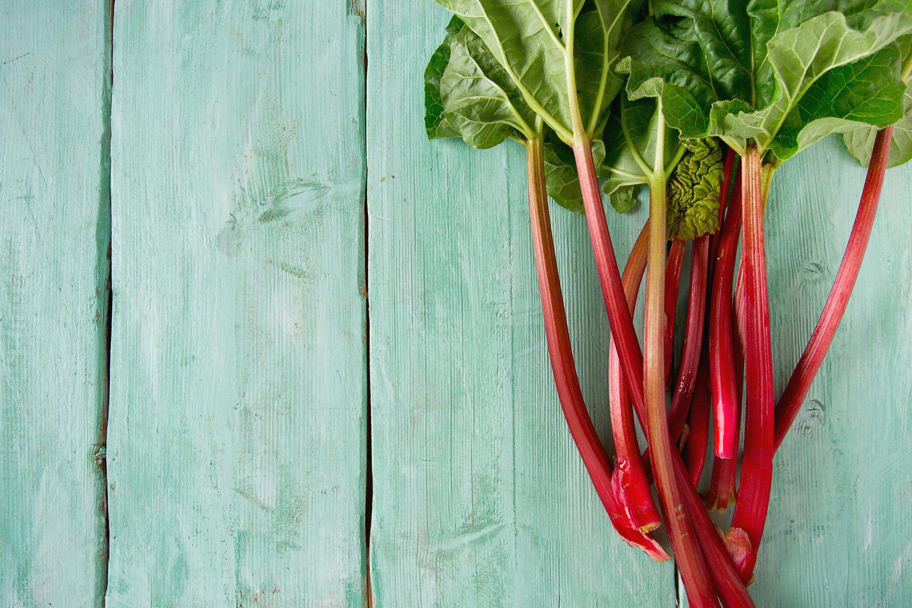 Oxalsäure und Co. : Sagen Sie nicht Gemüse zu ihm: 9 Dinge, die man über den Rhabarbar wissen sollte