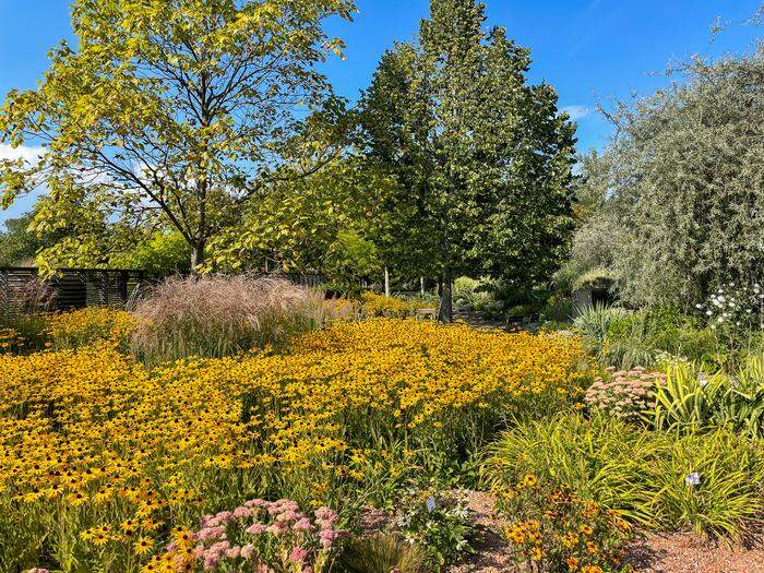 So golden ist der Herbst: Genießen statt zu früh zu schneiden