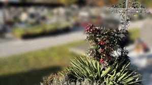 Wie „ausufernd“ und individuell darf ein Grab gestaltet sein? Diese Frage stellt sich eine Leserin, die von der Pfarre Köflach ermahnt wurde. Foto des Grabes vom 3. November 2025