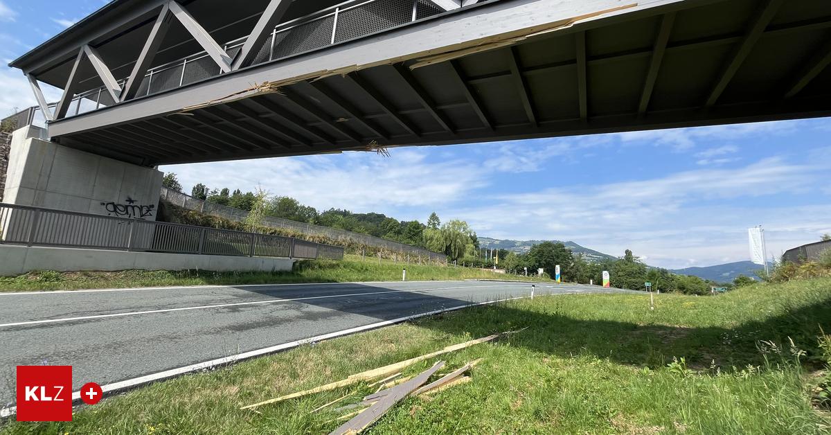 Wie-es-mit-der-besch-digten-Br-cke-der-Tierwelt-Herberstein-weitergeht