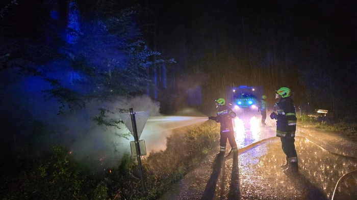 Weil drei Jugendliche einen Baumbrand in einem Wald in Preding schnell entdeckten, konnte die Feuerwehr einen großen Waldbrand noch rechtzeitig verhindern