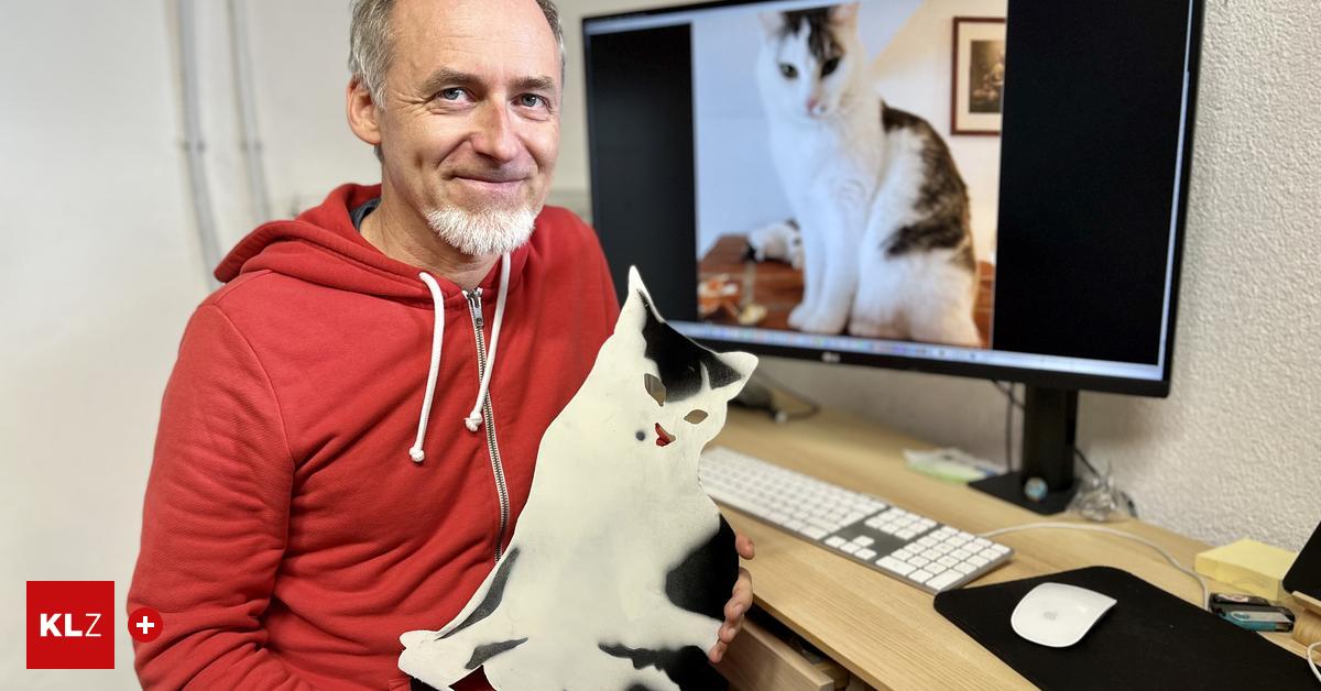 Grafik-Designer-will-mit-Aufstellern-Katzen-vor-Unfalltod-bewahren