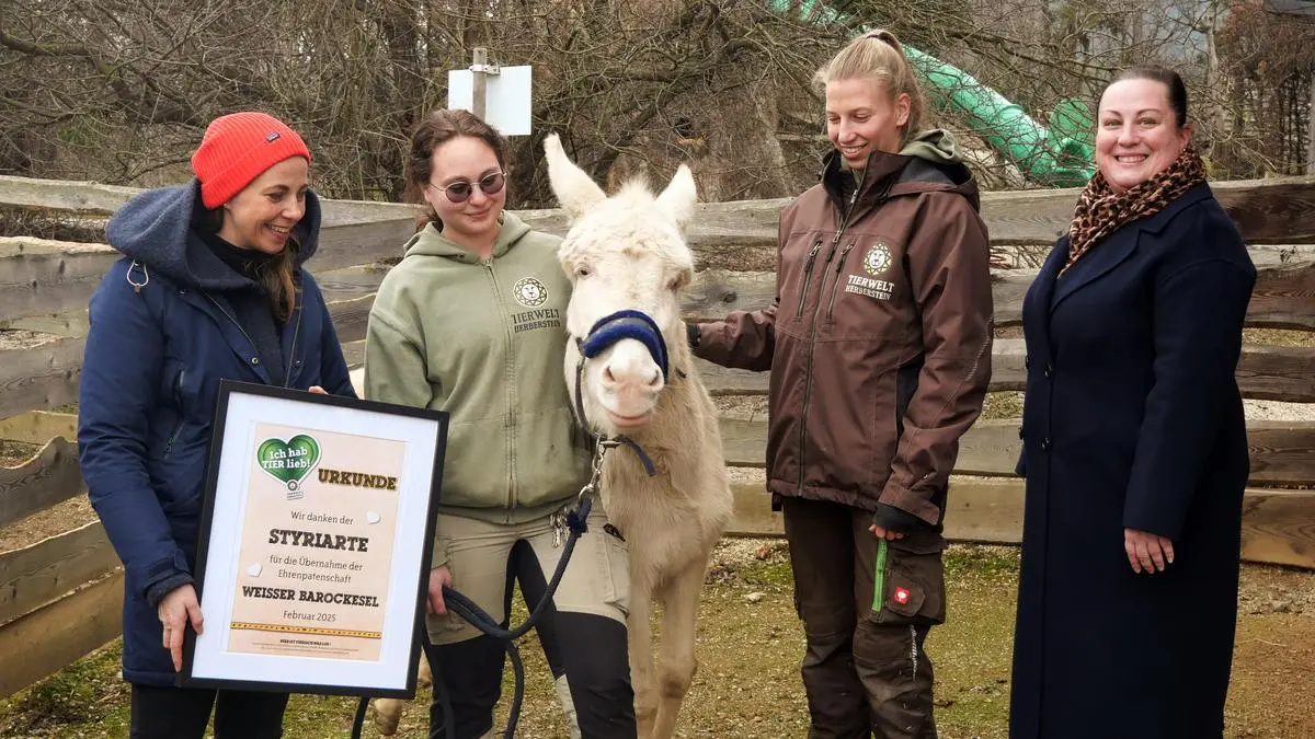 Katharina Schellnegger (Styriarte) mit der Eseldame Moët, ihren Tierpflegerinnen und Karin Winkler von der Tierwelt Herberstein