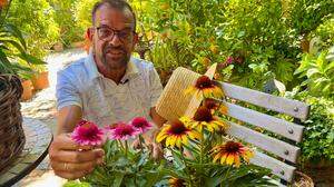 Macht den Sommer noch bunter: Biogärtner Karl Ploberger weiß, worauf es beim Sonnenhut ankommt