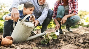 Worauf Gartlerinnen und Gartler wert legen? Die Umfrage von Biogärtner Karl Ploberger zeigt es