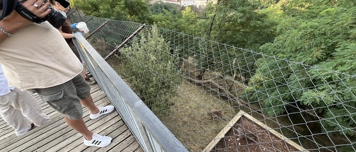 Das Schicksal des Pumas, der in Bayern in eine Holzkiste verpackt, in einem Kleinwagen gefunden wurde, berührte die Zuschauer so sehr, dass er nun Teil der besten 30 Geschichten aus 30 Jahren des deutschen Senders „OTV“ wurde