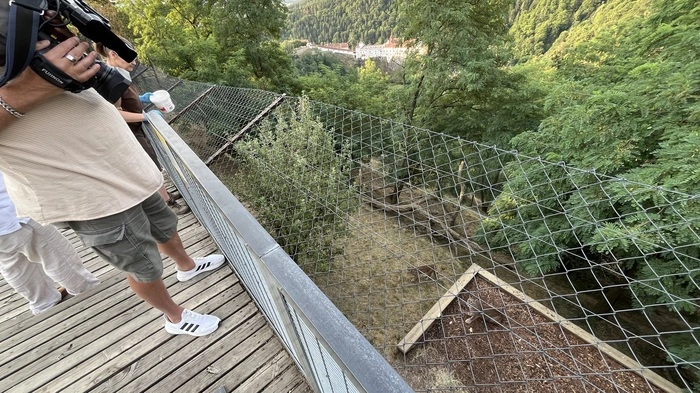 Das Schicksal des Pumas, der in Bayern in eine Holzkiste verpackt, in einem Kleinwagen gefunden wurde, berührte die Zuschauer so sehr, dass er nun Teil der besten 30 Geschichten aus 30 Jahren des deutschen Senders „OTV“ wurde
