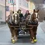 Kutschenfahrt Gerlitz Weihnachten 2025 Hartberg 