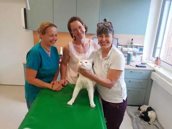 Sabine Prechtl (rechts) mit ihrem Team (Regina Grabner und Martina Groppenberger) sowie dem noch etwas „verschlafenen“ Kater nach der Narkose