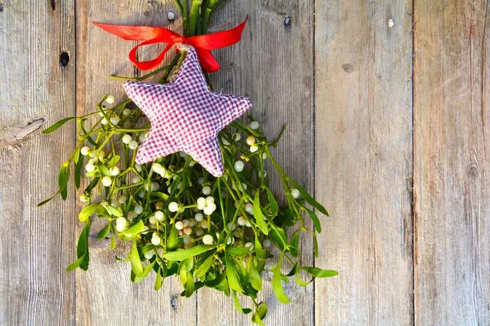 Können Mistelzweige den Obstbäumen schaden?