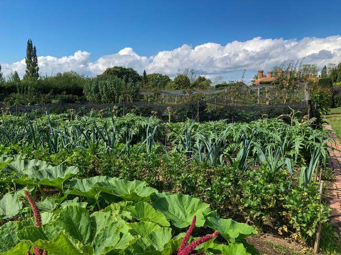 Gemüsegärten werden in England doick gemulcht