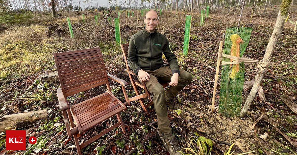 Nach-Sturm-2024-Die-B-ume-sind-zur-ck-der-Wald-aber-noch-lange-nicht