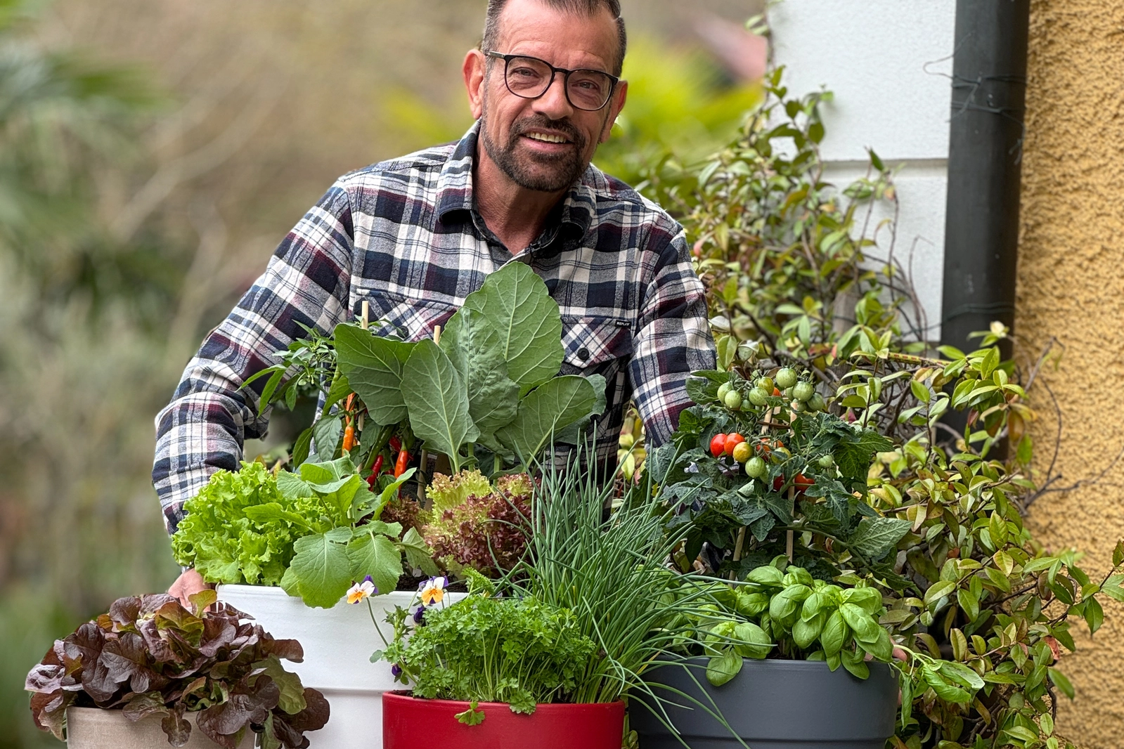 Wie der Gemsegarten auf Balkon oder Terrasse gelingt