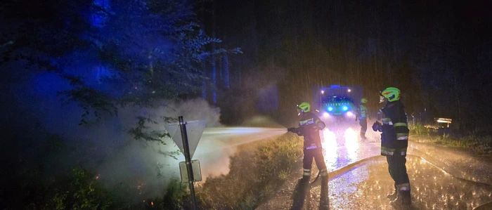 Weil drei junge Erwachsene einen Baumbrand in einem Wald in Preding schnell entdeckten, konnte die Feuerwehr einen großen Waldbrand noch rechtzeitig verhindern