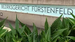 Ein arbeitsloser Landschaftsgärtner hat mit Freunden Suchtmittel gegen Bier oder Lebensmittel getauscht: „Er brauchte es wirklich dringend“