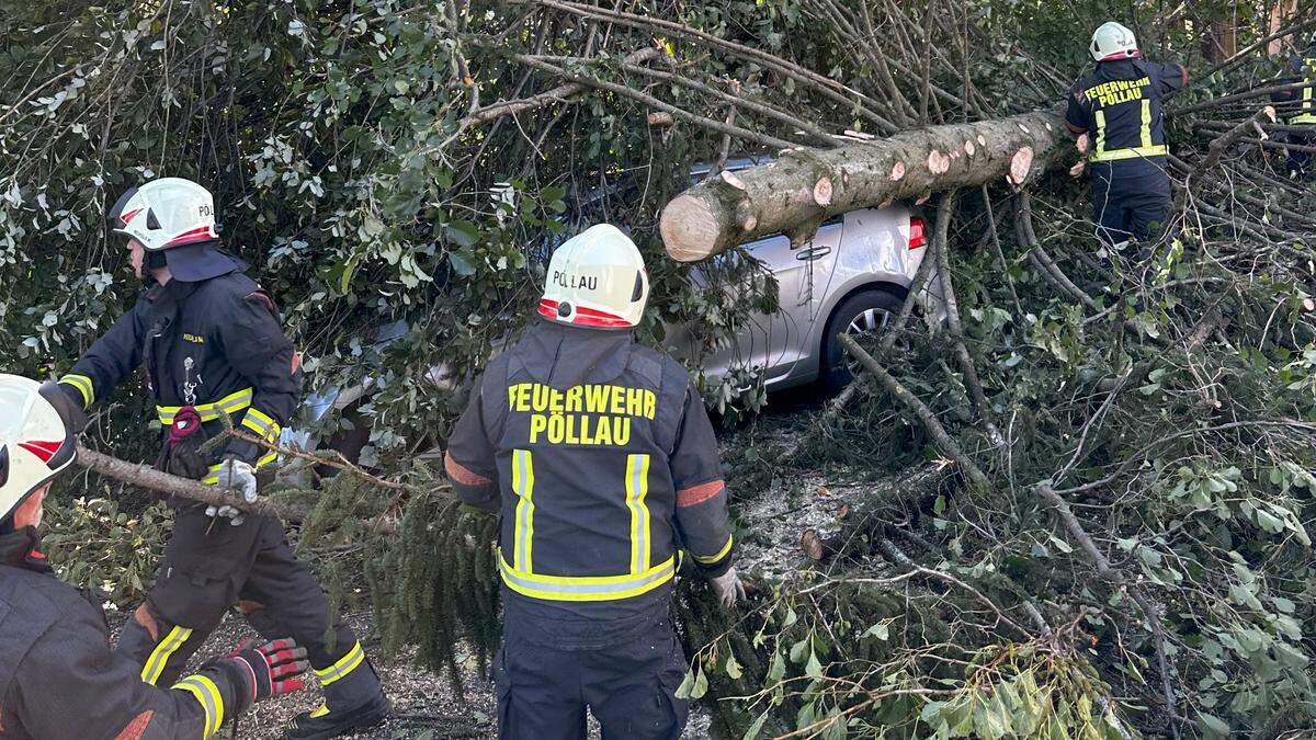 Der Sturm riss unzählige Bäume nieder, die Einsatzkräfte waren rund um die Uhr mit Aufräumen beschäftigt