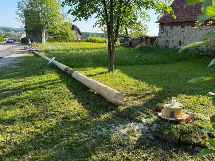 Un collègue pompier a placé une bougie funéraire sur la souche de l'arbre abattu