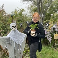 In dem Garten von Giftgärtnerin und Krimi-Autorin Klaudia Blasl in Litzelsdorf findet man je nach Jahreszeit 200 bis 300 Giftpflanzen