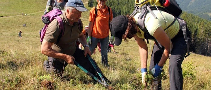Ohne Pflege würden die Almen verwildern und verwalden