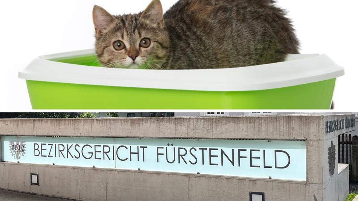 Nicht nur die beiden Katzen, sondern auch die Tatsache, dass der Angeklagte raucht, führen in der Beziehung immer wieder zu Streit