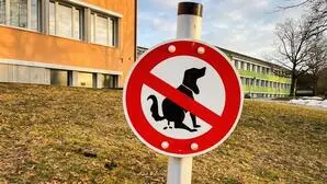 Meldungen häufen sich in Kaindorf, dass an Schulen und bei Spielplätzen vermehrt Hundekot liegen bleibt (Fotomontage)