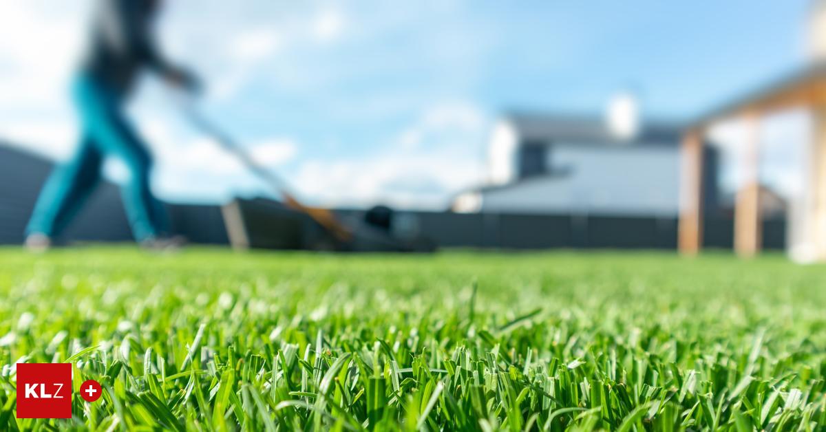 G-rtner-wegen-Diebstahls-angeklagt-Nach-dem-Rasenm-hen-fehlten-300-Euro