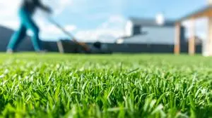 Spring season sunny lawn mowing in the garden. Lawn blur with soft light for background. Selective focus