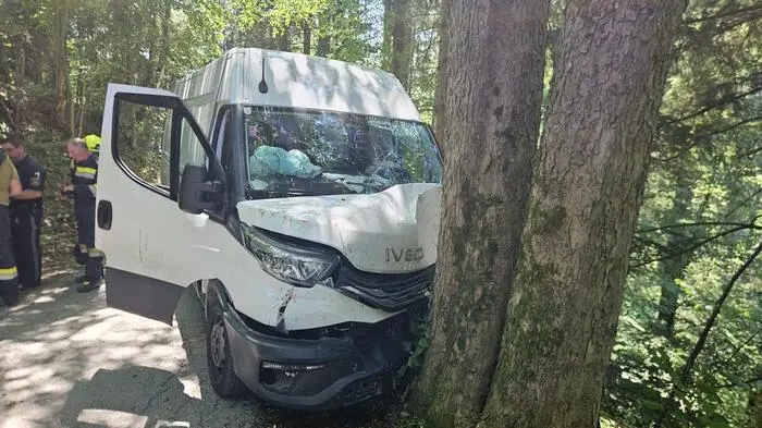 In einem Waldstück in Steirisch Tauchen war der Lenker eines Paketdienstes von der Fahrbahn abgekommen