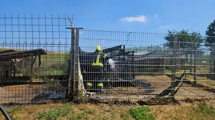 Eine Hütte in einem Hundezwinger war in Brand geraten