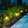 Beleuchtung im Garten stört den Tag-Nacht-Rhythmus zahlreicher Tiere