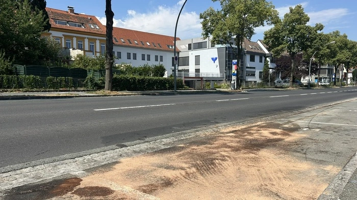 Die Feuerwehr Hartberg sicherte die Unfallstelle und band die ausgelaufenen Betriebsmittel