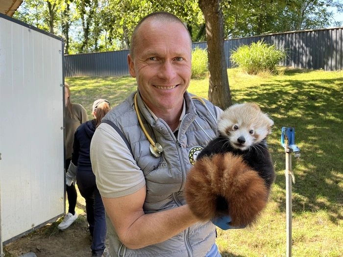 Reinhard Pichler, Tierarzt und zoologischer Leiter der Tierwelt bei der Routineuntersuchung der Jungtiere: „Die beiden sind gesund und munter“
