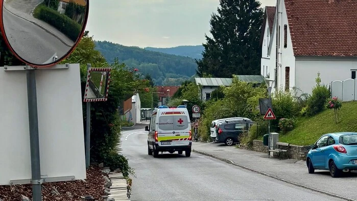 Die beiden Zwillingsbrüder lebten mit ihren Familien unter einem Dach in Kumberg