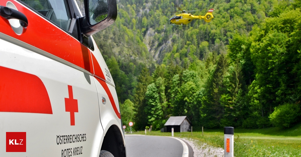 Forstunfall-in-Heimschuh-18-J-hriger-zog-sich-schwere-Handverletzungen-zu