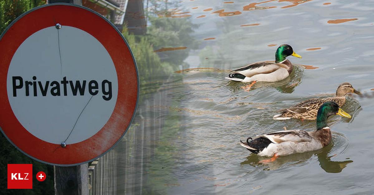 bekannter-tiersch-tzer-vor-gericht-das-ist-die-rache-der-j-ger