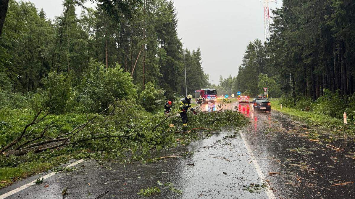 In Weiz führten umgestürzte Bäume zu zahlreichen Straßenblockaden