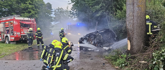 Nach dem Aufprall gegen den Baum ging das E-Auto in Flammen auf.