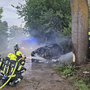 Nach dem Aufprall gegen den Baum ging das E-Auto in Flammen auf.