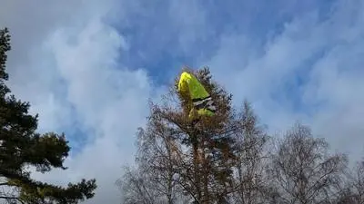 Dieser Pilot überstand den Zwischenfall unverletzt