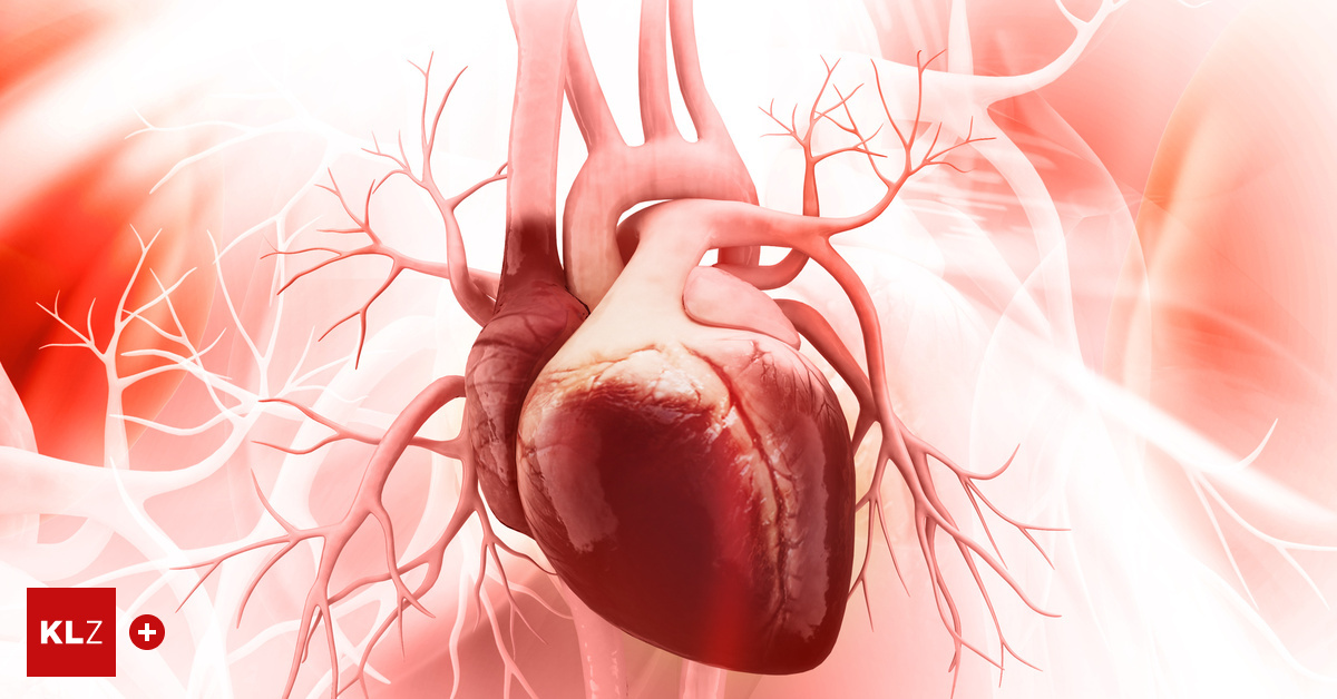 Eine-der-weltweit-h-ufigsten-Todesursachen-Herzschw-che-KI-Software-aus-Graz-soll-Erkrankung-fr-her-erkennen