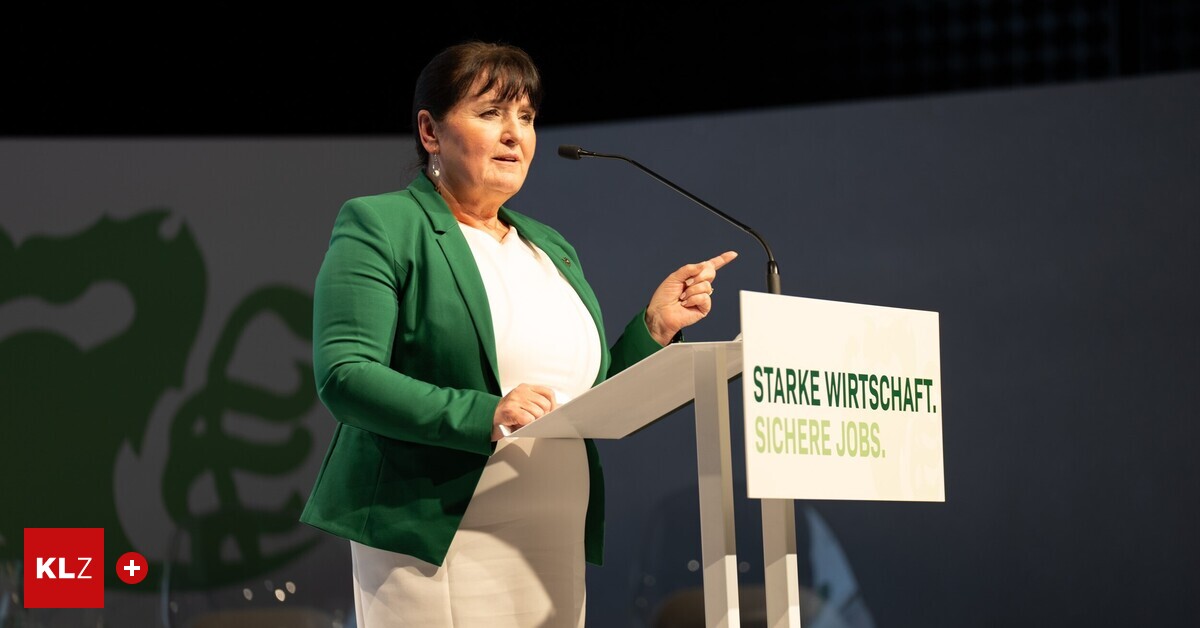 -VP-Wirtschaftsforum-Ein-Pl-doyer-gegen-die-Festungsbauer