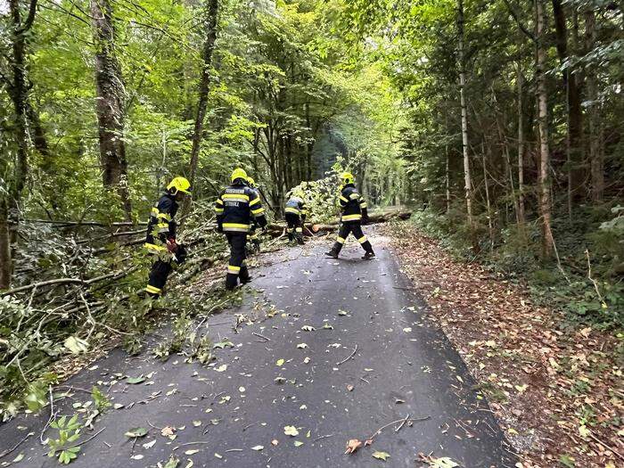 In Stiwoll mussten die Wehren Bäume von der Straße bergen