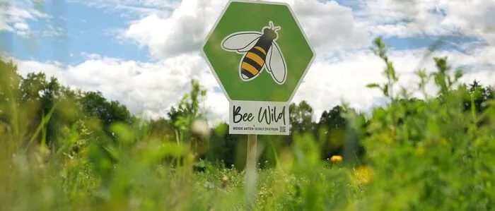 Ein grünes, wabenförmiges Schild mit einer Biene darauf steht in einer Blumenwiese