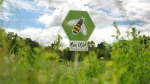 Ein grünes, wabenförmiges Schild mit einer Biene darauf steht in einer Blumenwiese