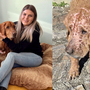 Links: Antonia Schöllauf, Obfrau des Tierheims Adamhof, mit Sammy. Rechts: Ende Oktober kam der Vierbeiner ins Tierheim