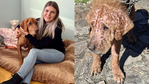 Links: Antonia Schöllauf, Obfrau des Tierheims Adamhof, mit Sammy. Rechts: Ende Oktober kam der Vierbeiner ins Tierheim